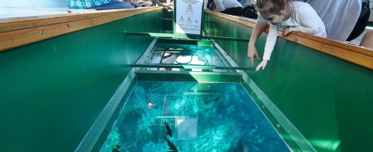 Glass Bottom Boat in Andaman