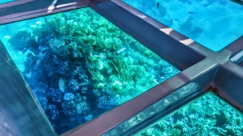 Glass Bottom Boat View - Andaman