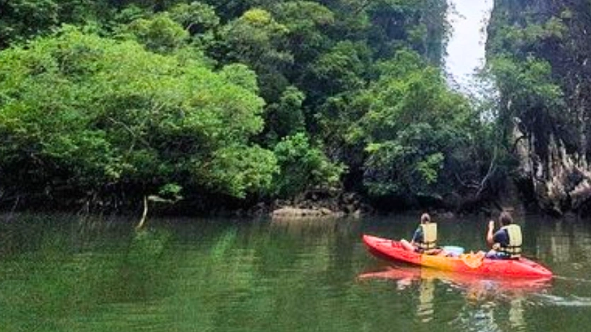 Mangrove Kayaking - Andaman