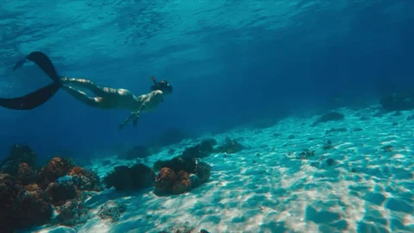 Snorkeling Adventure - Andaman