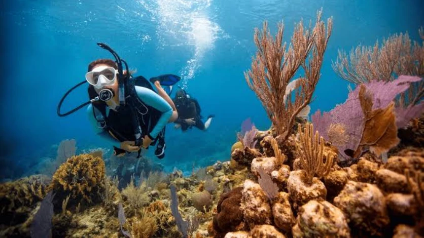 Turquoise Lagoon Snorkeling - Andaman