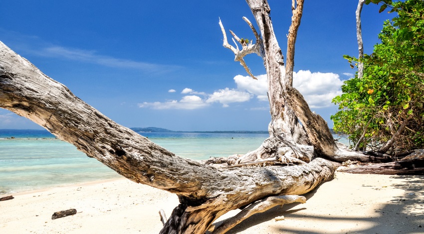 Best time to visit Andaman