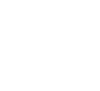 Vector