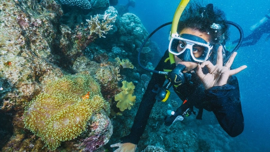 Coral reefs of Andaman Islands