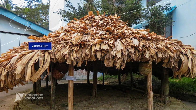 Tribal Hut Exhibit