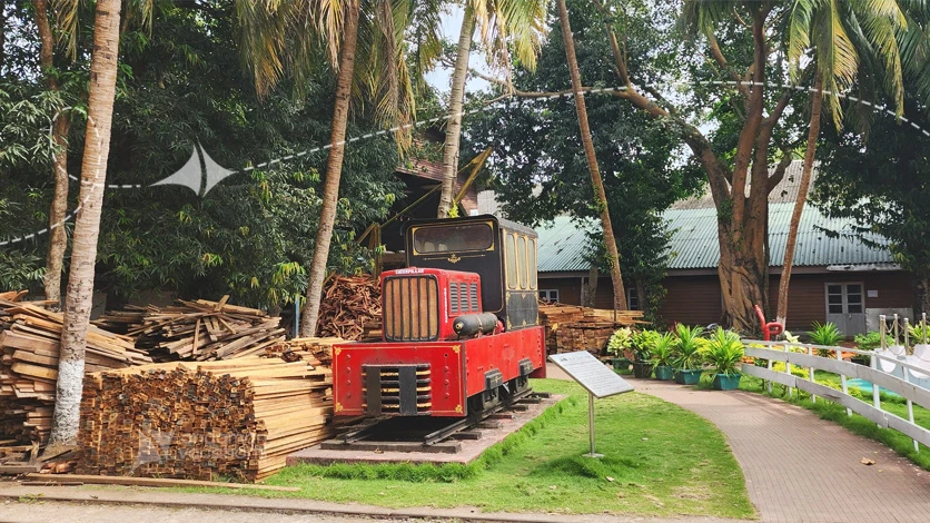 Timber Tramway View