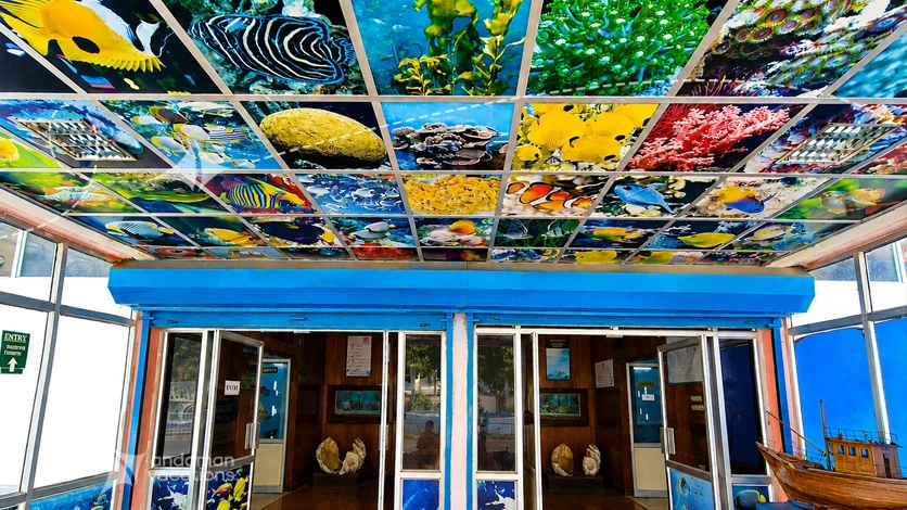 Fisheries Museum Interior