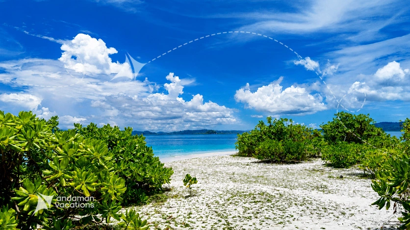 Mahatma Gandhi Marine National Park - Coral gardens