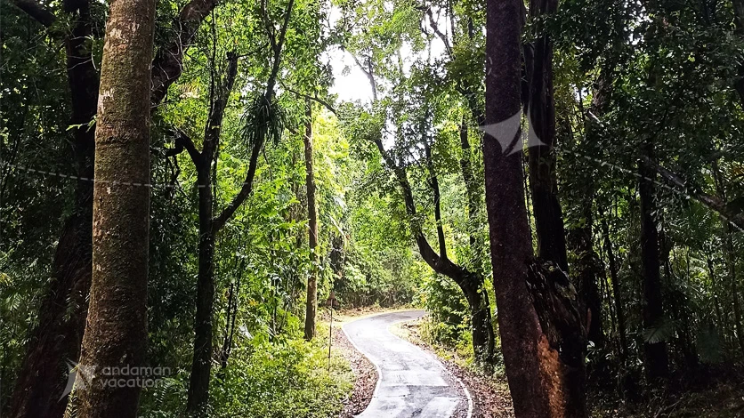 Kayaking Adventure - Andaman