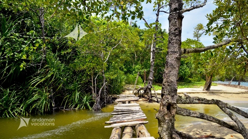 Munda Pahad Mangroves