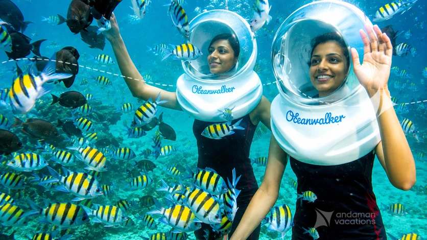 Sea Bed Walking - Andaman