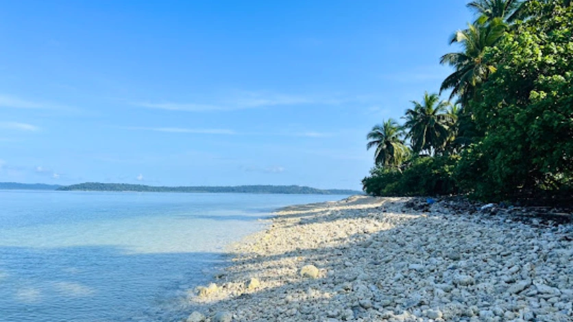 Avis Island - Crystal clear waters