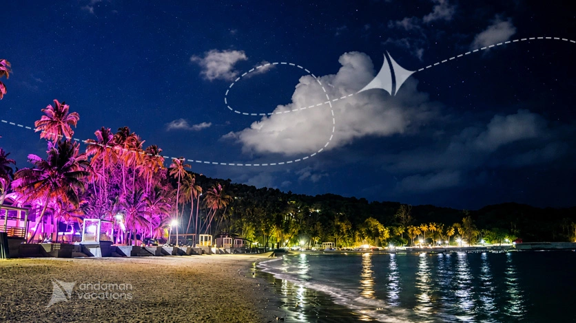 Corbyn’s Cove Night View