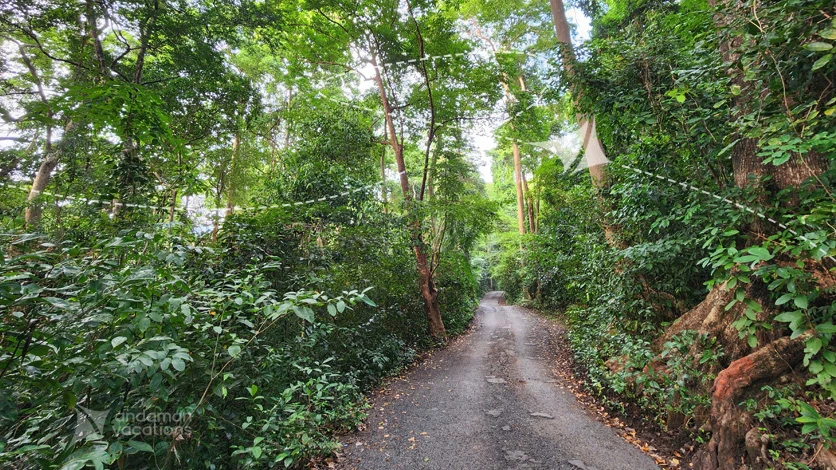 Chidiya Tapu Bird Watching Trail