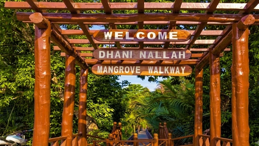 Dhaninallah Mangrove Walkway