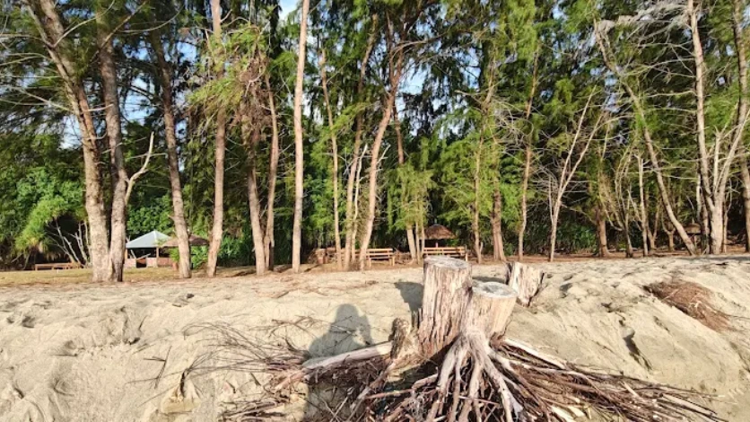 Dhani Nallah Mangrove Walkway, Rangat