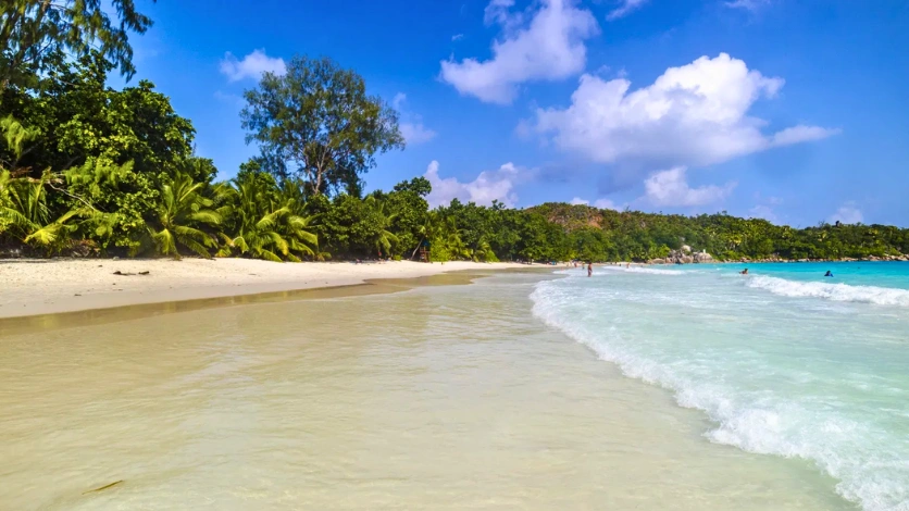 Elephant Beach Scenic View