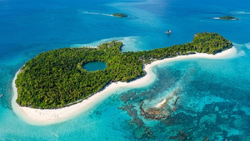 Guitar Island
