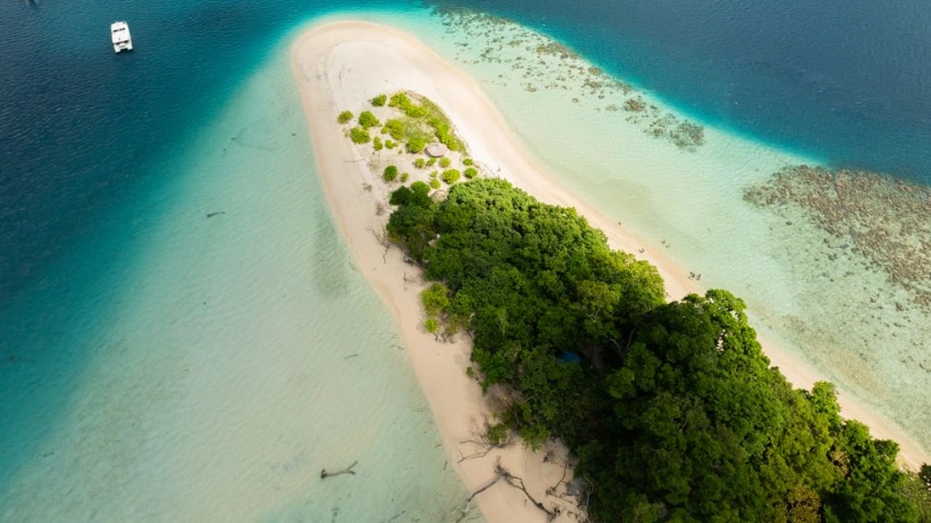 Jolly Buoy Island Forest