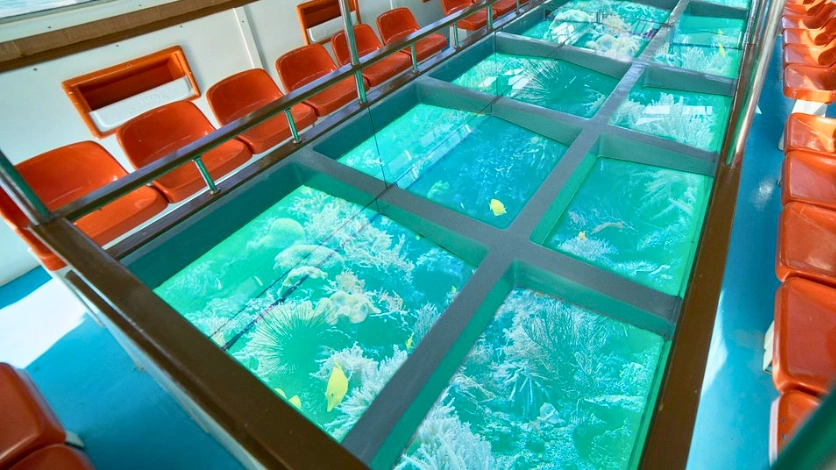 Jolly Buoy Island Andaman coral reef snorkelling