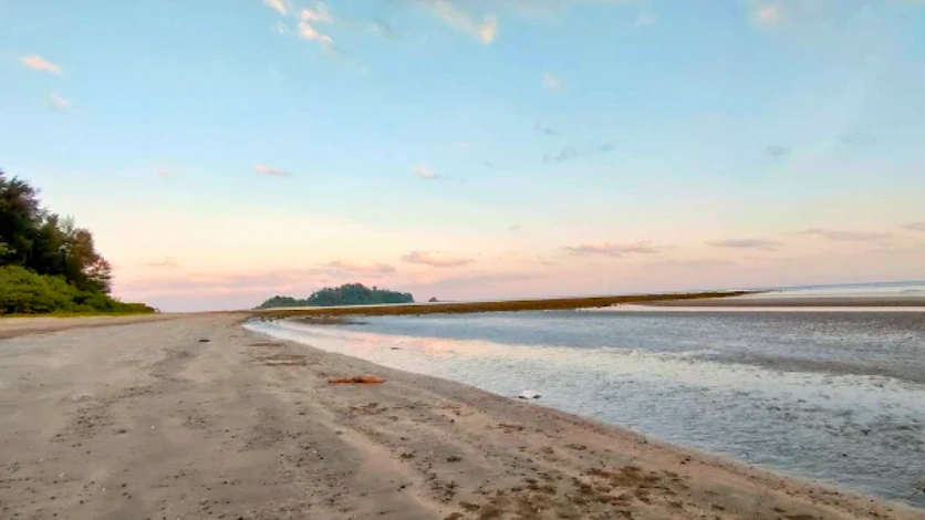 Kalipur Beach dark sand shoreline North Andaman