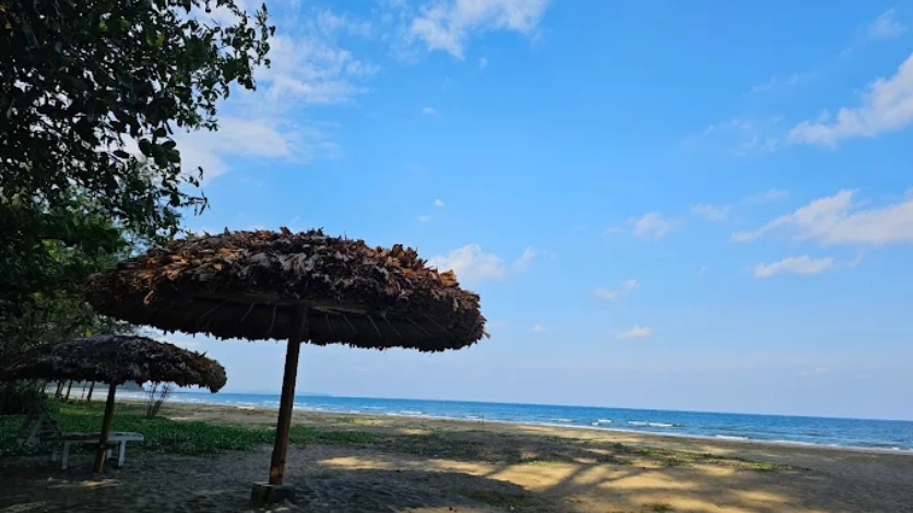 Mangroves
