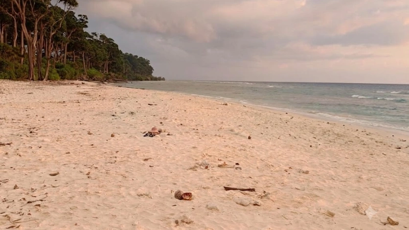Laxmanpur Beach Neil Island