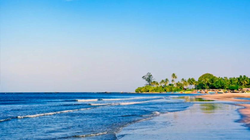 Laxmanpur Beach Rock View