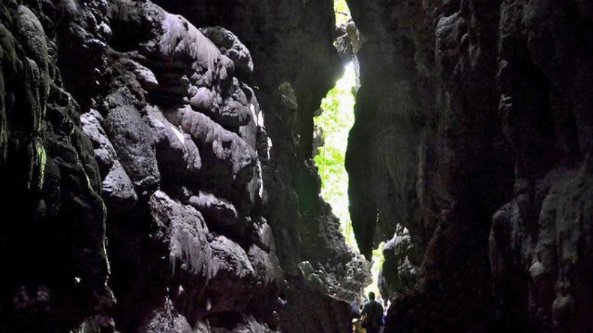 Forest Trail to Caves