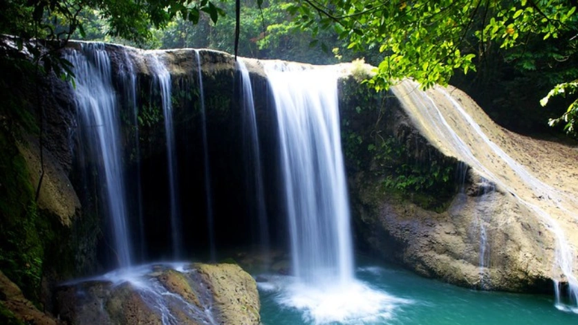 Whisper Wave Waterfall Forest Stream
