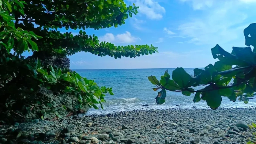 Blue Waters