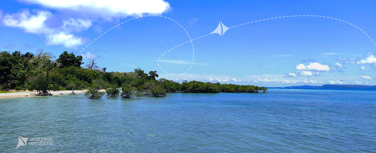 Neil Island (Shaheed Dweep)