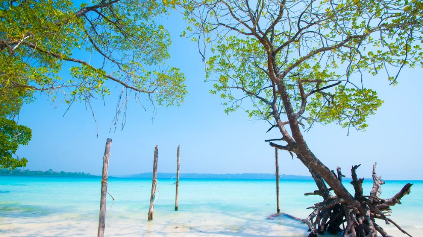 Radhanagar Beach Shoreline