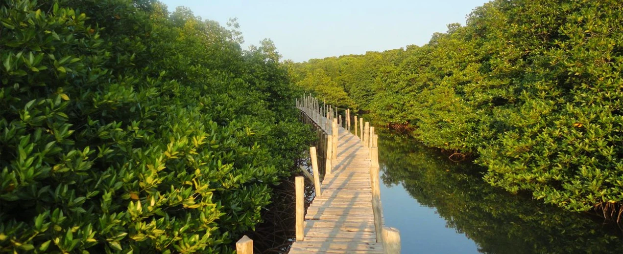 Rangat,  Andaman Island