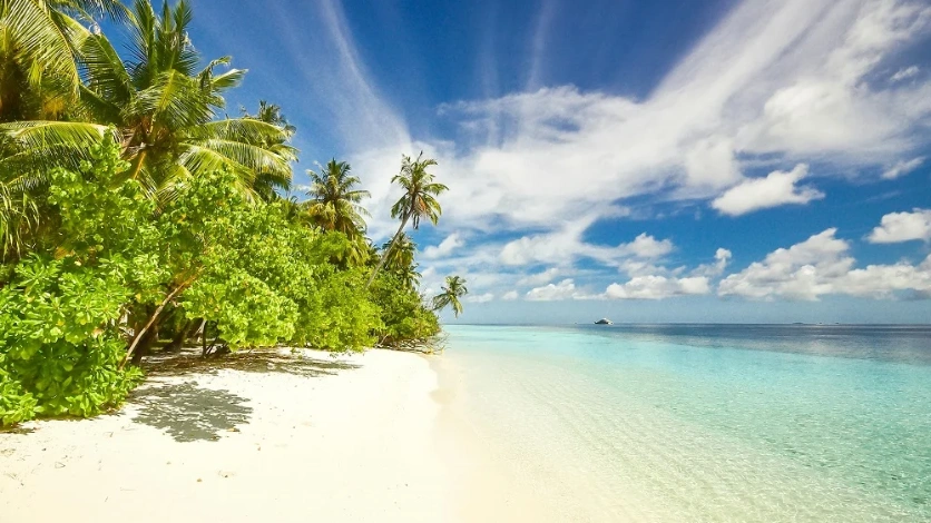 Red Skin Island - Protected coral reef sanctuary