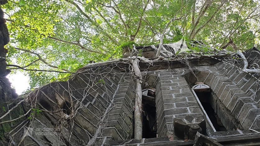Ross Island