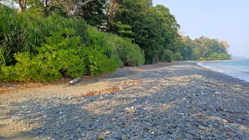 Saddle Peak Trek Start at Kalipur