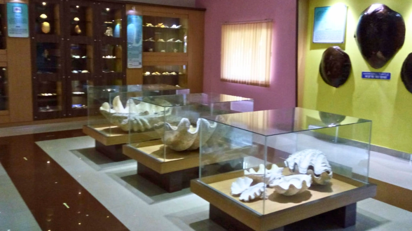 Samudrika Naval Marine Museum Port Blair exhibits
