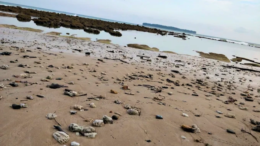 Rock Formations at Sitapur Beach