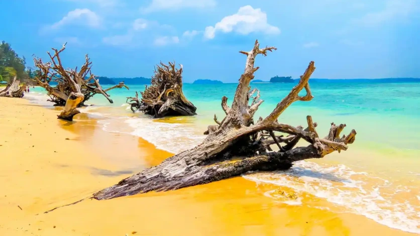 Wandoor Jetty and boats departing for Mahatma Gandhi Marine National Park, Port Blair