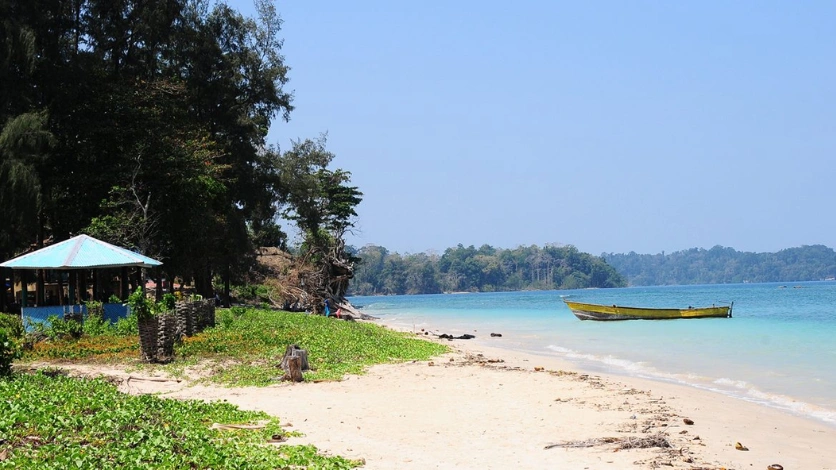 Wandoor Beach Mangroves