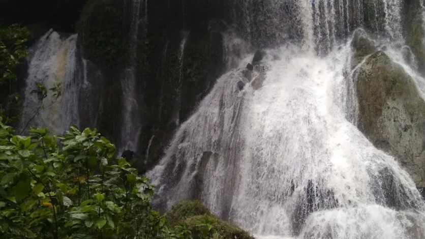 White Surf Waterfall Rainforest